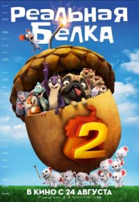 Реальная белка 2